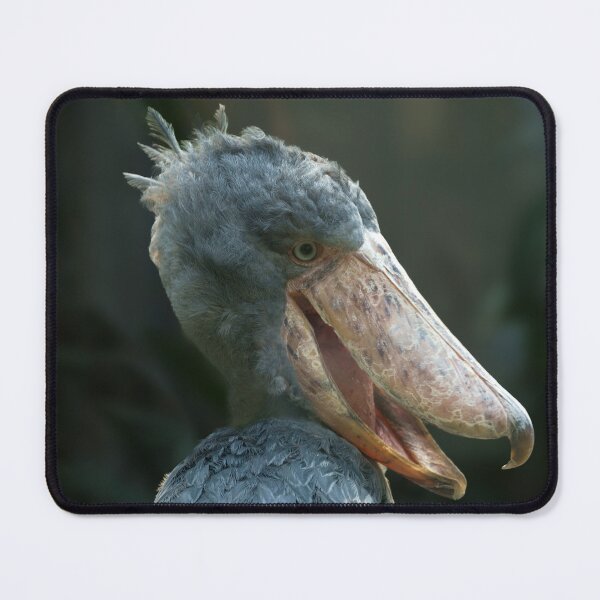 Item preview, Smiling Shoebill designed and sold by rawshutterbug.