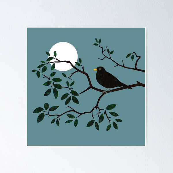 Blackbird Singing in the Night Poster