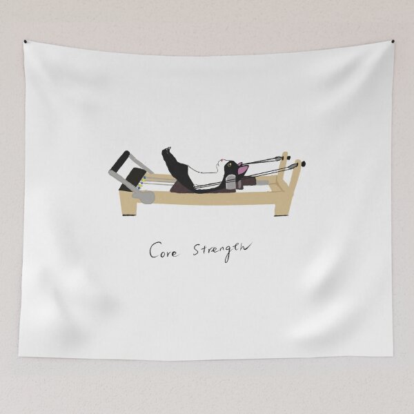 Item preview, Doing Pilates hundred on reformer kitty designed and sold by PilatesKitty.