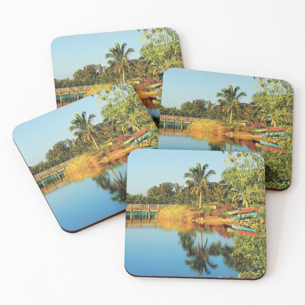 Item preview, Tropical Scene in Florida designed and sold by zeeposter.