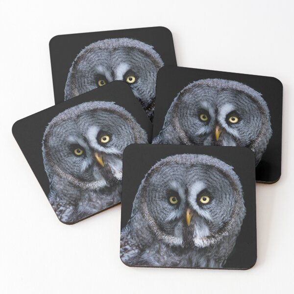 Item preview, Grey Owl designed and sold by Karen  O'Reilly.