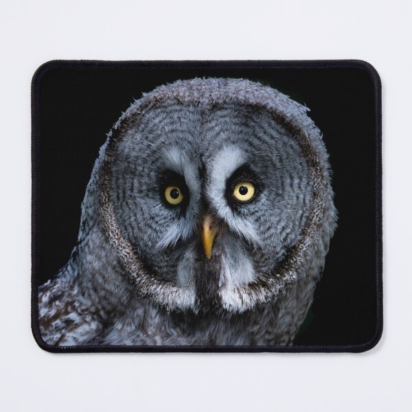 Item preview, Grey Owl designed and sold by Karen O'Reilly.