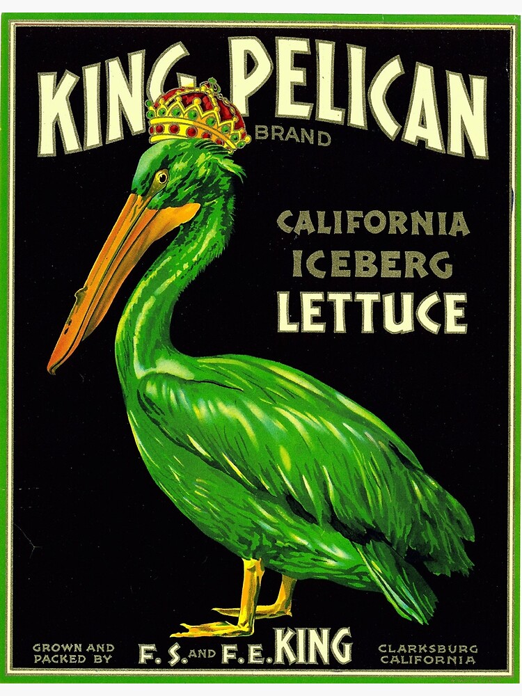 Discover King Pelican California Lettuce - Vintage Produce Ad Poster Premium Matte Vertical Poster