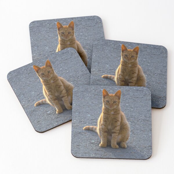 Item preview, Ginger Cat Soaking Up the Sun designed and sold by likbatonboot.