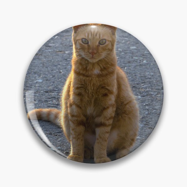 Item preview, Ginger Cat Soaking Up the Sun designed and sold by likbatonboot.