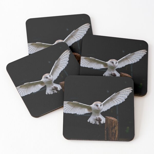 Item preview, Flying Barn Owl designed and sold by Karen  O'Reilly.