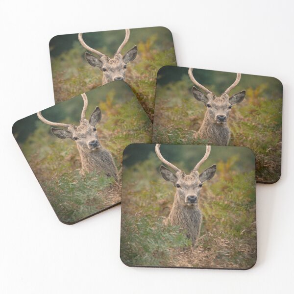Item preview, Deer in Bracken designed and sold by Karen  O'Reilly.
