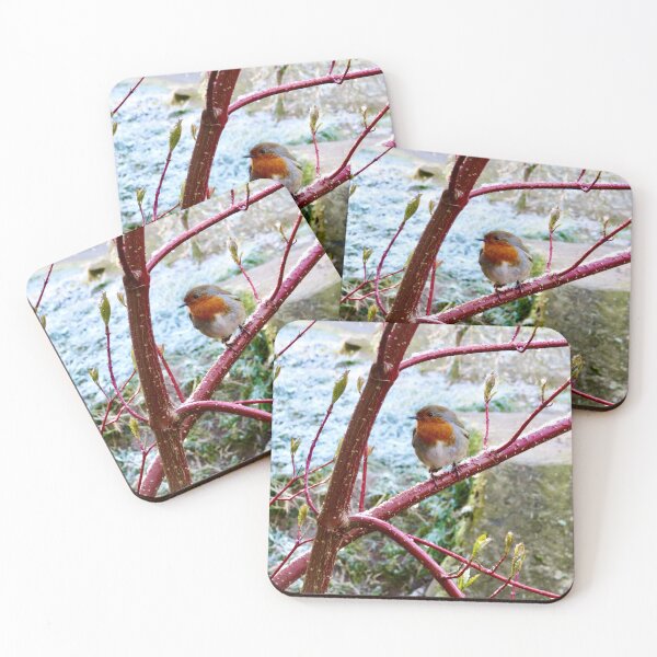 Item preview, Robin on a branch designed and sold by SnapsBySara.