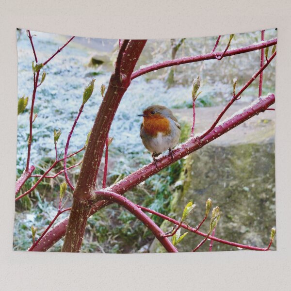 Item preview, Robin on a branch designed and sold by SnapsBySara.
