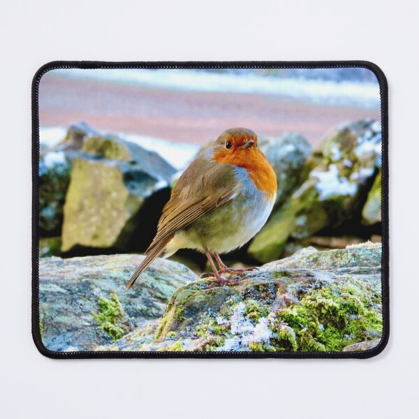 Item preview, Robin designed and sold by SnapsBySara.