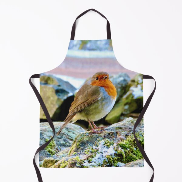 Item preview, Robin designed and sold by SnapsBySara.