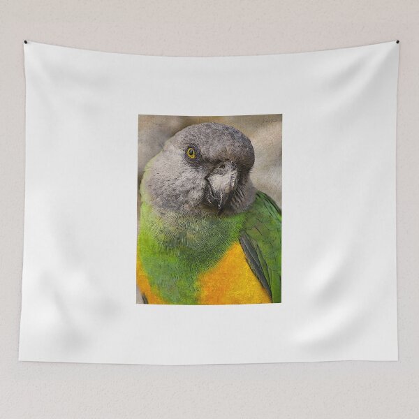 Item preview, Parrot designed and sold by NorbertRicaud.