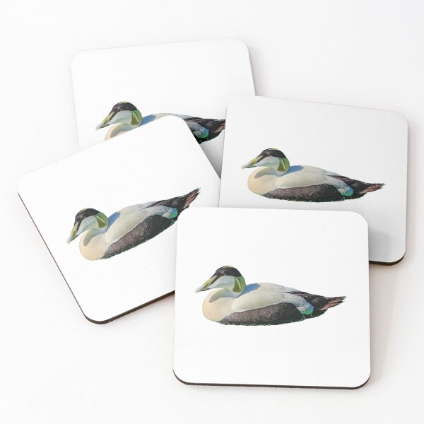 Item preview, Eider Duck Drake designed and sold by Dalyndigital Photography.