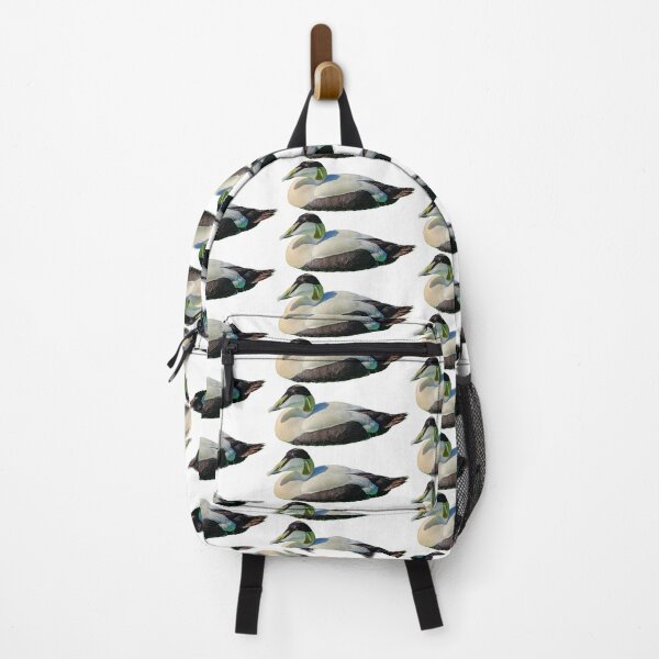 Item preview, Eider Duck Drake designed and sold by Dalyndigital Photography.