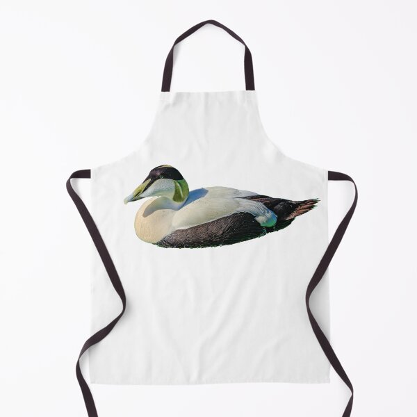 Item preview, Eider Duck Drake designed and sold by Dalyndigital Photography.