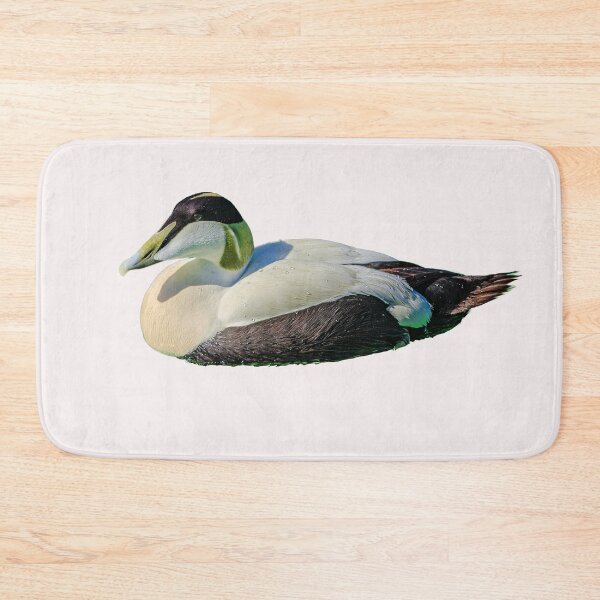 Item preview, Eider Duck Drake designed and sold by Dalyndigital Photography.