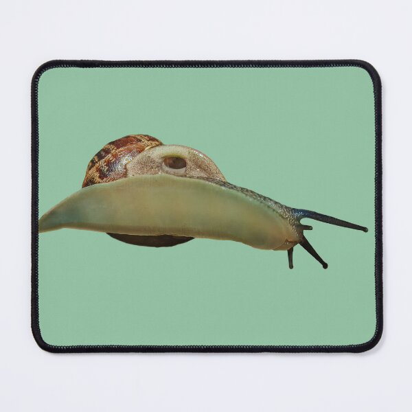 Item preview, Snail trail on glass designed and sold by Dalyndigital Photography.