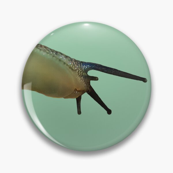 Item preview,  Snail trail on glass designed and sold by Dalyndigital Photography.