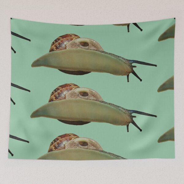Item preview,  Snail trail on glass designed and sold by Dalyndigital Photography.