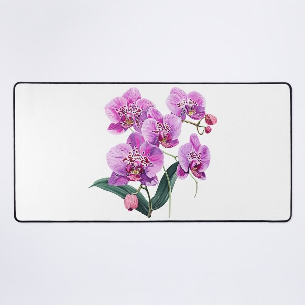 Aperçu de l'œuvre Orchidées violettes créée et vendue par FlowersColorful.