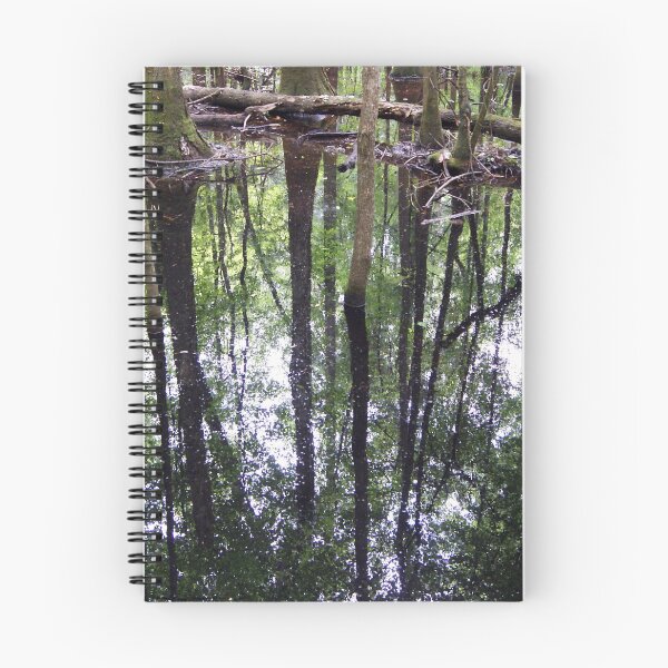 Item preview, reflecting deeply designed and sold by Jan Stead JEMproductions.