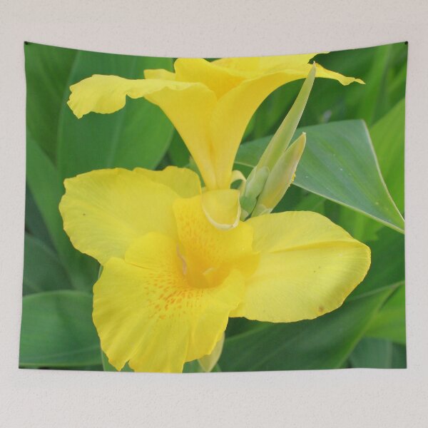 Item preview, Closeup Of A Tropical Yellow Canna Lily designed and sold by taiche.