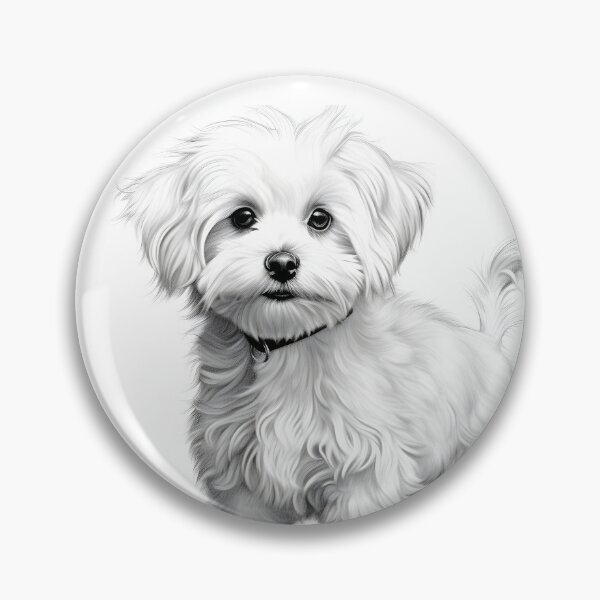 Artikelvorschau, Schwarz-weiße Bichon-Bleistiftzeichnung entworfen und verkauft von Pencil-Art.