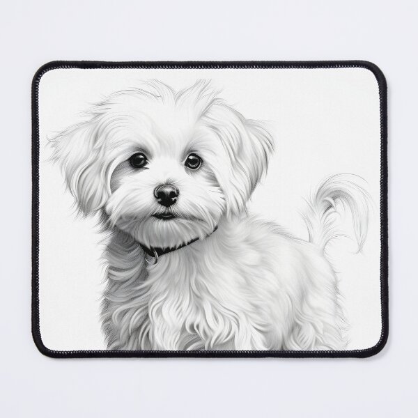 Item preview, Black and white Bichon pencil drawing designed and sold by Pencil-Art.