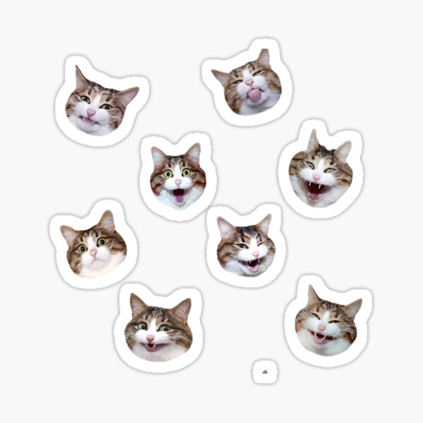Item preview, Funny shocked cat face pattern - Copy designed and sold by BeebooDesign.