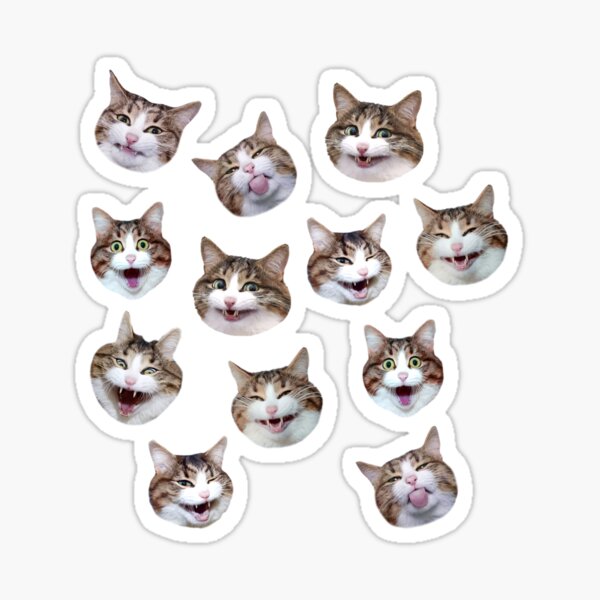 Item preview, Funny shocked cat face pattern seamless designed and sold by BeebooDesign.