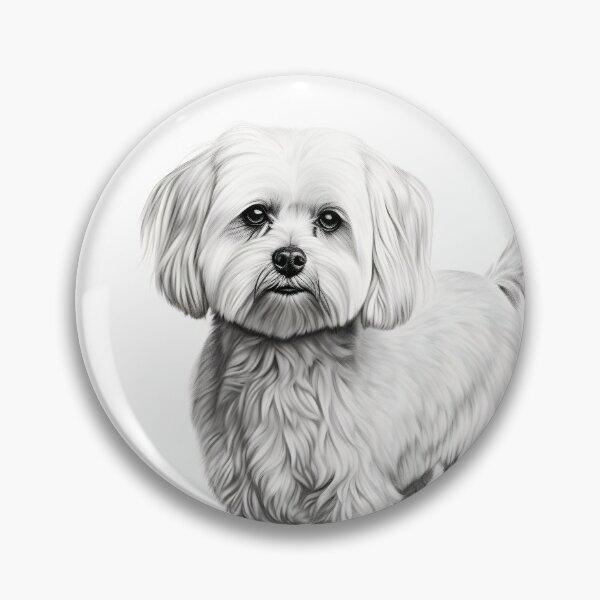 Item preview, Black and white Bichon pencil drawing designed and sold by Pencil-Art.
