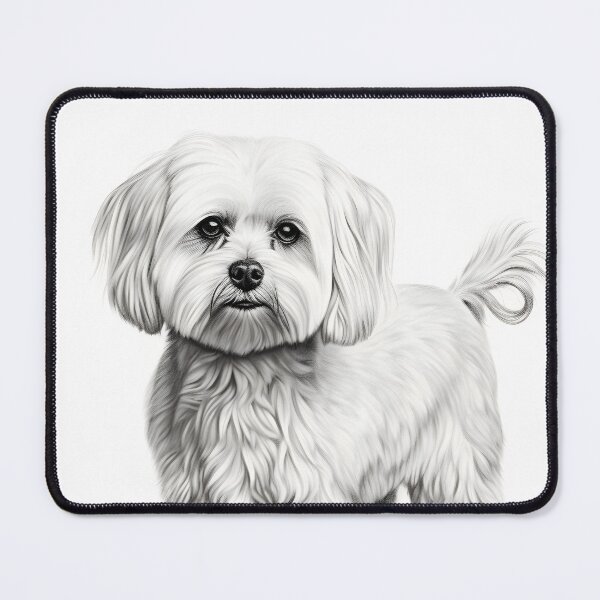 Item preview, Black and white Bichon pencil drawing designed and sold by Pencil-Art.