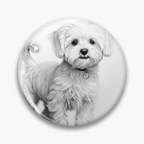 Item preview, Black and white Bichon pencil drawing designed and sold by Pencil-Art.