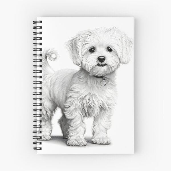 Item preview, Black and white Bichon pencil drawing designed and sold by Pencil-Art.