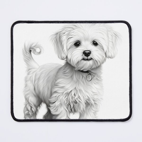 Item preview, Black and white Bichon pencil drawing designed and sold by Pencil-Art.