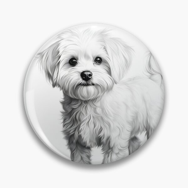 Item preview, Black and white Bichon pencil drawing designed and sold by Pencil-Art.