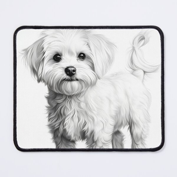 Item preview, Black and white Bichon pencil drawing designed and sold by Pencil-Art.