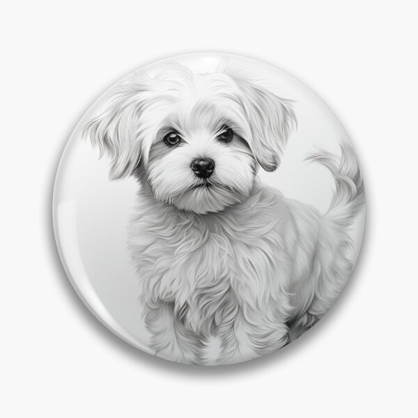 Item preview, Black and white Bichon pencil drawing designed and sold by Pencil-Art.