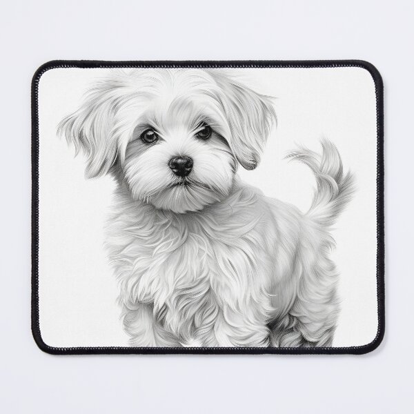 Item preview, Black and white Bichon pencil drawing designed and sold by Pencil-Art.
