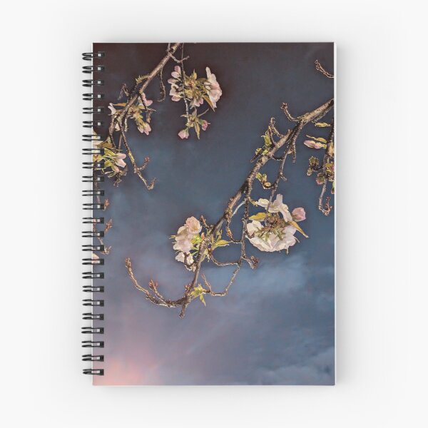 Item preview, Blossom (Steel blue) designed and sold by Phil Bothwell Photography.