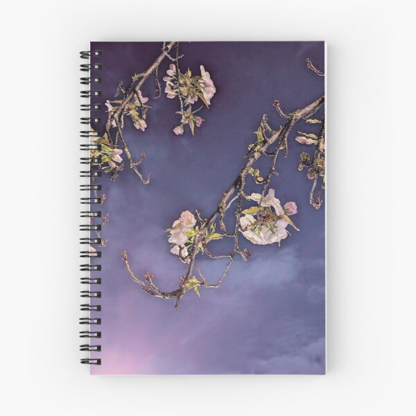 Artikelvorschau, Blüte (Lila) entworfen und verkauft von Phil Bothwell Photography.