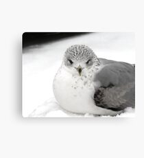 Recon Canvas Print