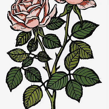 Artwork thumbnail, Retro Roses by SamJanner