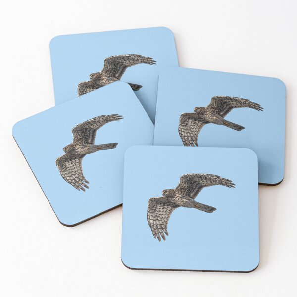 Item preview, Northern Harrier Marsh Hawk Flying Color Design  designed and sold by designsasstultd.