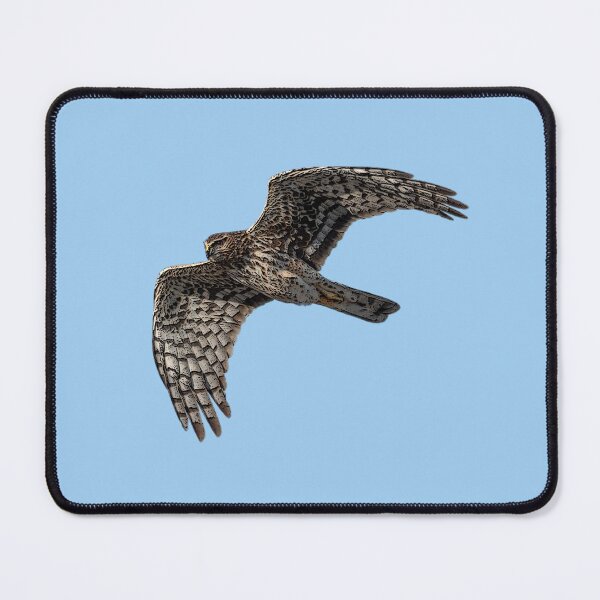 Item preview, Northern Harrier Marsh Hawk Flying Color Design designed and sold by designsasstultd.