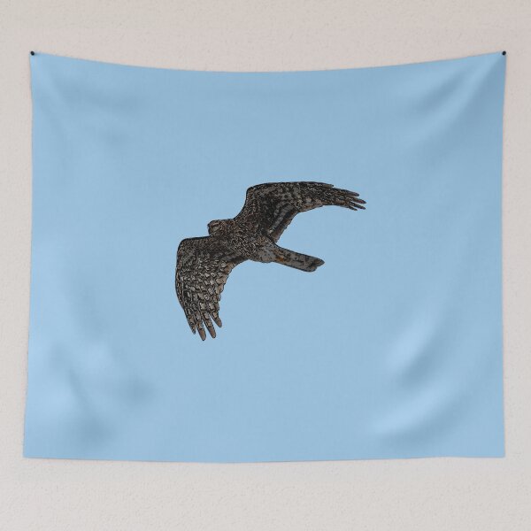 Item preview, Northern Harrier Marsh Hawk Flying Black Alternate Design  designed and sold by designsasstultd.