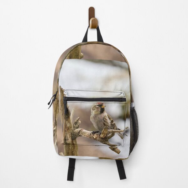 Item preview, The proud one. Mealy redpoll designed and sold by Jouko Lehto Photography.