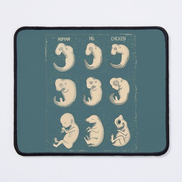 Item preview, We are all animals designed and sold by Vilemo.