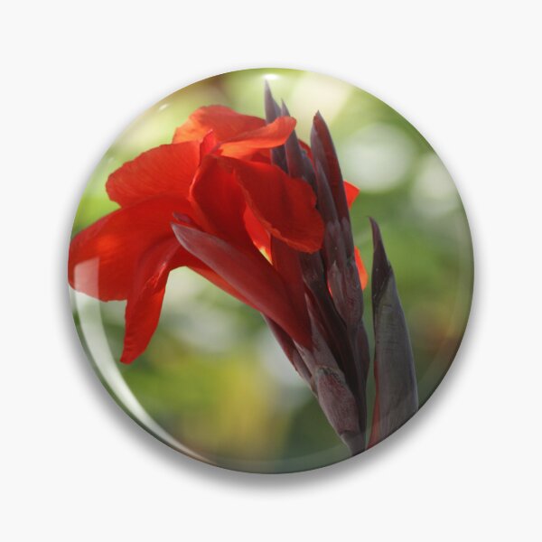 Item preview, Red Canna Lily designed and sold by taiche.