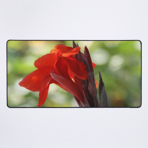Item preview, Red Canna Lily designed and sold by taiche.